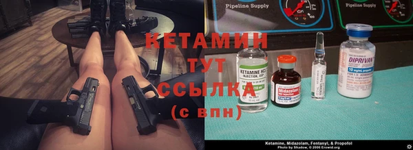 стаф Алексин