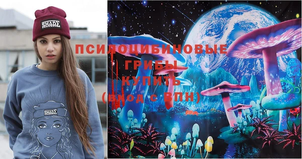 стаф Алексин