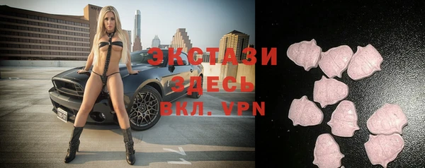стаф Алексин